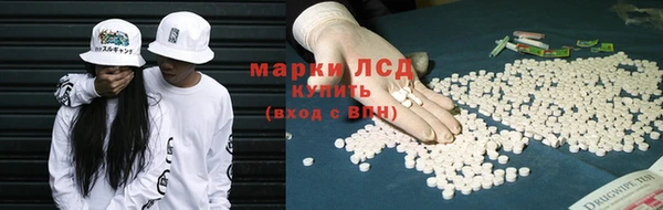 гидра Покровск