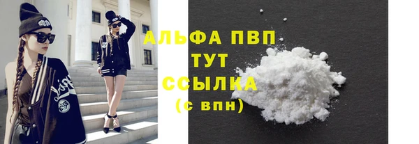гидра Покровск